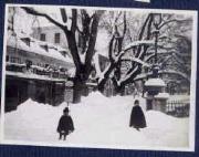 Ereignis (Positivo) di Ellmenreich, Albert (1917/01/15 - 1917/01/15)