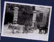 Gastbetrieb (Positivo) di Ellmenreich, Albert (1917/01/01 - 1917/12/31)