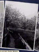 Landschaft (Positivo) di Ellmenreich, Albert (1917/01/01 - 1917/12/31)