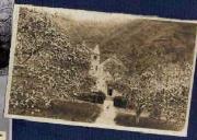 Kirche (Positivo) di Bährendt, Leo (1917/01/01 - 1917/12/31)