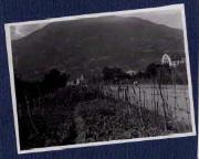 Straße (Positivo) di Ellmenreich, Albert (1917/06/22 - 1917/06/22)