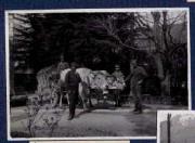 Gastbetrieb (Positivo) di Ellmenreich, Albert (1918/04/05 - 1918/04/05)