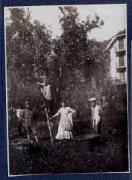 Bäuerliche Arbeit (Positivo) di Ellmenreich, Albert (1917/09/27 - 1917/09/27)