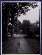 Verkehr (Positivo) di Ellmenreich, Albert (1917/01/01 - 1917/12/31)