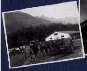 Tier (Positivo) di Ellmenreich, Albert (1917/09/03 - 1917/09/03)