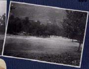 Gewässer (Positivo) di Ellmenreich, Albert (1917/08/04 - 1917/08/04)