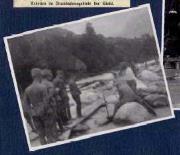 Gewässer (Positivo) di Ellmenreich, Albert (1917/08/29 - 1917/08/29)