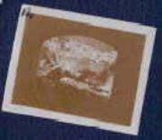 Profanbau (Positivo) (1915/01/01 - 1918/12/31)