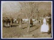 Tier (Positivo) di Ellmenreich, Albert (1917/11/12 - 1917/11/12)