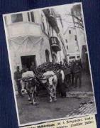 Tier (Positivo) di Ellmenreich, Albert (1918/04/08 - 1918/04/08)