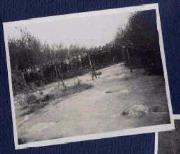 Gewässer (Positivo) di Ellmenreich, Albert (1918/05/24 - 1918/05/24)