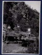 Gruppenbild (Positivo) di Ellmenreich, Albert (1918/06/07 - 1918/06/07)