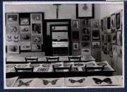 Ausstellung (Positivo) di Ellmenreich, Albert (1918/06/29 - 1918/06/29)