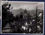 Profanbau (Positivo) di Ellmenreich, Albert (1918/07/18 - 1918/07/18)