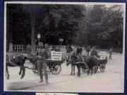 Tier (Positivo) di Ellmenreich, Albert (1918/07/21 - 1918/07/21)