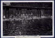 Schwimmen (Positivo) di Ellmenreich, Albert (1918/09/01 - 1918/09/93)