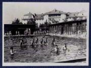 Schwimmen (Positivo) di Ellmenreich, Albert (1918/08/01 - 1918/09/93)