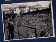 Schwimmen (Positivo) di Ellmenreich, Albert (1918/08/01 - 1918/09/93)