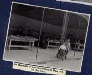 Profanbau (Positivo) di Ellmenreich, Albert (1919/05/18 - 1919/05/18)