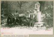 Denkmalansicht (Positivo) di Photoglob (1895/01/01 - 1895/12/31)
