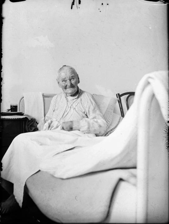 ritratto di donna (Positivo) di Ellmenreich, Albert (1934/07/01 - 1934/07/31)