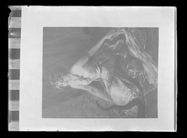 ritratto di donna (Positivo) di Ellmenreich, Albert (1918/11/12 - 1918/11/12)