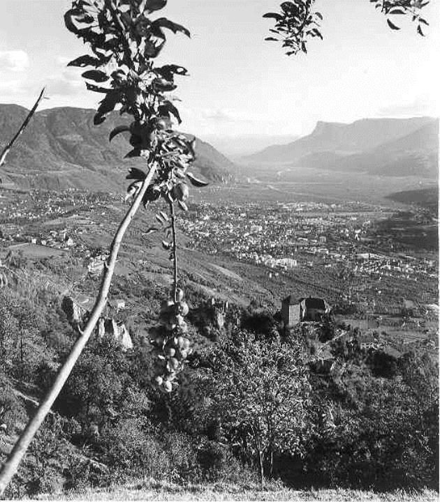 Schloss Tirol (Positivo) di Foto Elisabeth Fuchs-Hauffen, Überlingen/Bodensee,Fuchs-Hauffen, Elisabeth (1970/09/01 - 1970/09/93)