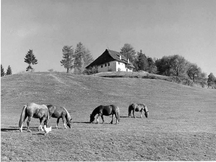 Bauernhof Ritten (Positivo) di Foto Elisabeth Fuchs-Hauffen, Überlingen/Bodensee,Fuchs-Hauffen, Elisabeth (1973/05/01 - 1973/05/31)