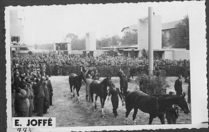 Pferderennen (Positivo) di Joffé, Emil (1935/01/01 - 1939/12/31)