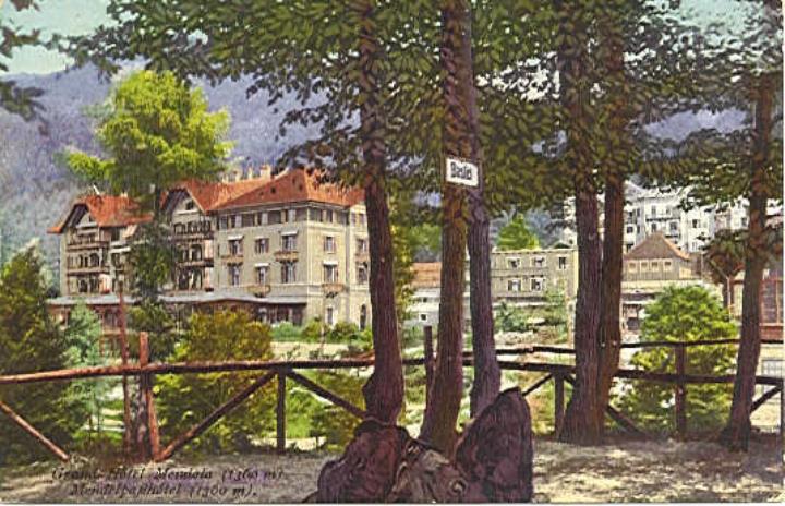 Hotel (Positivo) di Amonn, Johann F. (1900/01/01 - 1930/12/31)