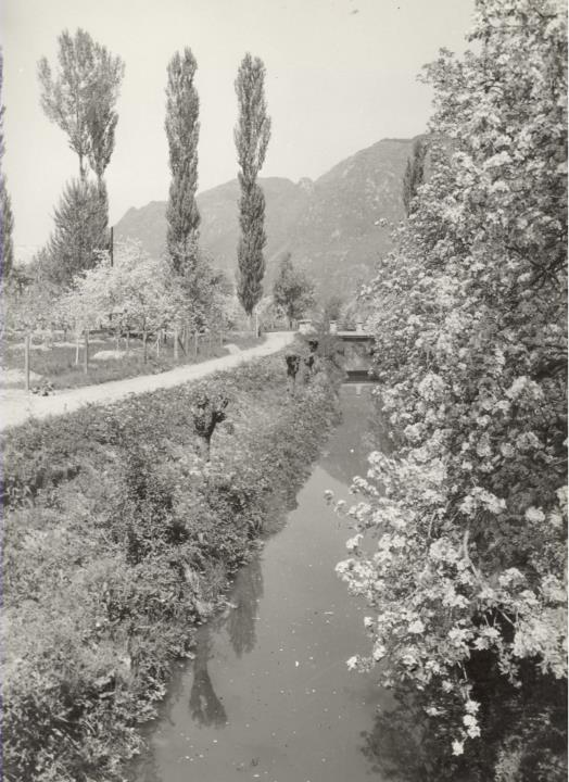 Kanal (Positivo) di Foto Pedrotti, Bozen (1950/01/01 - 1969/12/31)