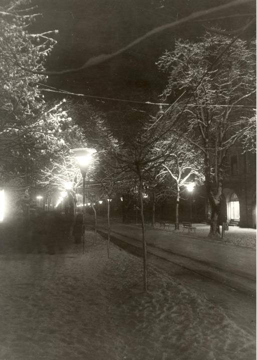 Motiv: Winter (Positivo) di Foto Pedrotti, Bozen (1950/01/01 - 1969/12/31)