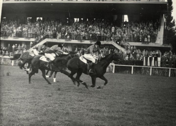Pferderennen (Positivo) di Foto Celere, Meran (1954/01/01 - 1954/12/31)