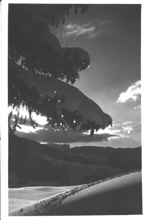 Motiv: Winter (Positivo) di Foto Planinschek, Wolkenstein (1920/01/01 - 1939/12/31)