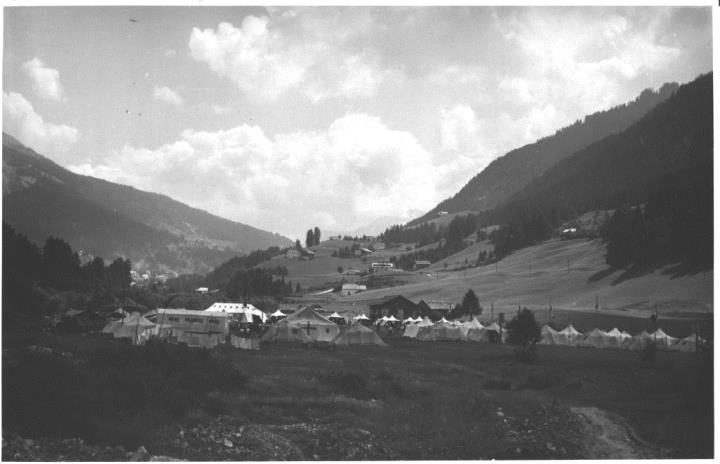 bosco (Positivo) di Foto E. Pedrotti, Bozen (1948/01/01 - 1969/12/31)