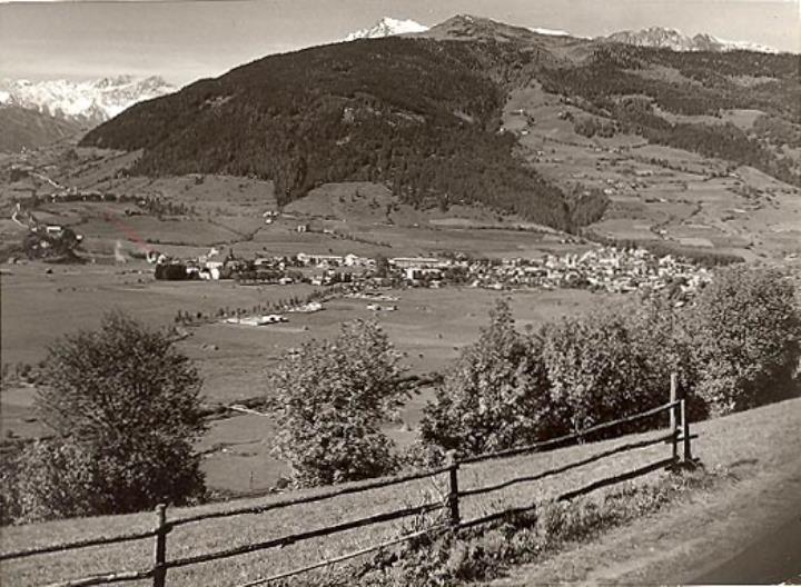 bosco (Positivo) di Foto Saltuari, Bozen (1950/01/01 - 1960/12/31)