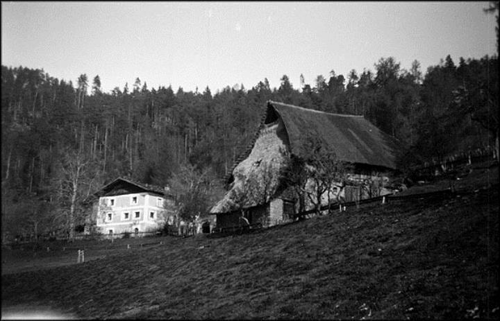 Bauernhof (Positivo) di Atzwanger, Hugo (1929/11/17 - 1929/11/17)