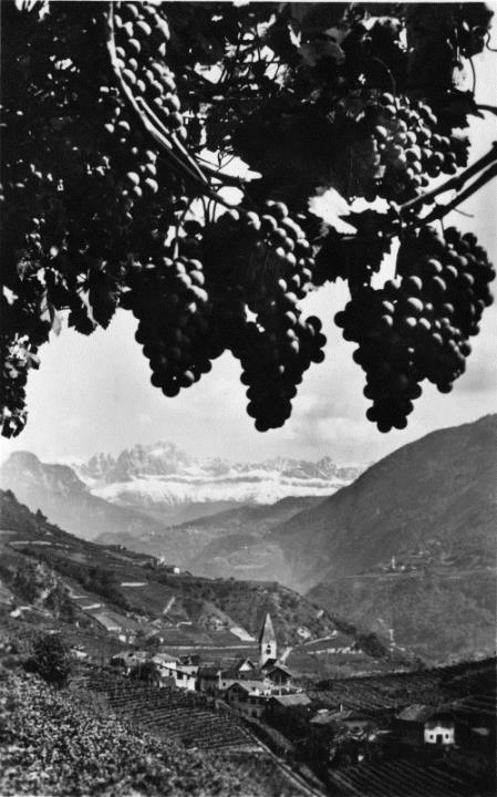 montagna (Positivo) (1920/01/01 - 1935/12/31)