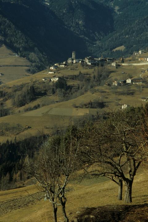 chiesa (Positivo) di Mayr, Franz (1989/01/01 - 1989/01/31)