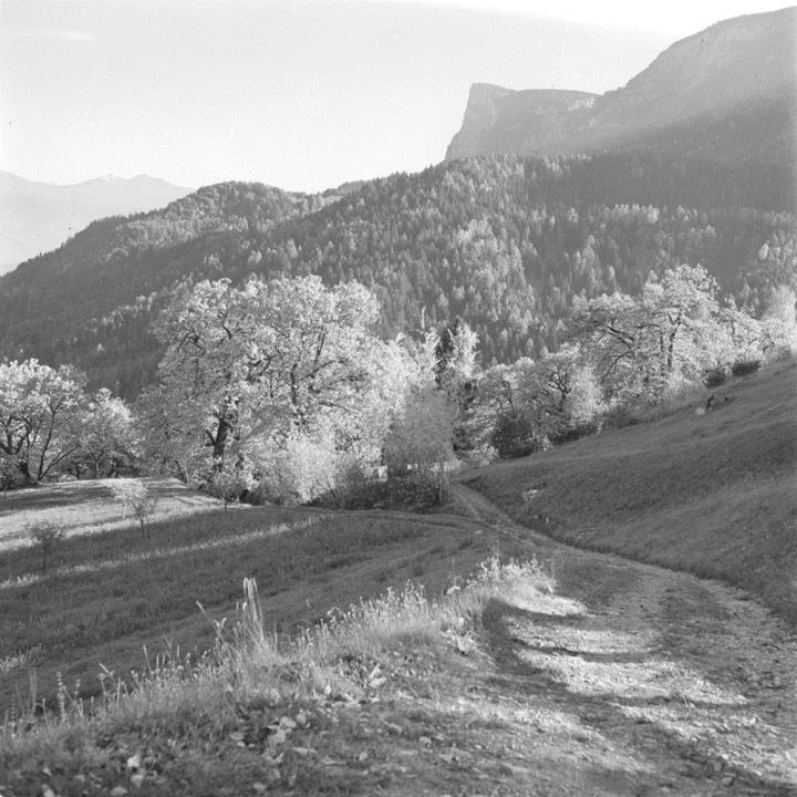 paesaggio (Positivo) di Groth-Schmachtenberger, Erika (1966/01/01 - 1966/12/31)
