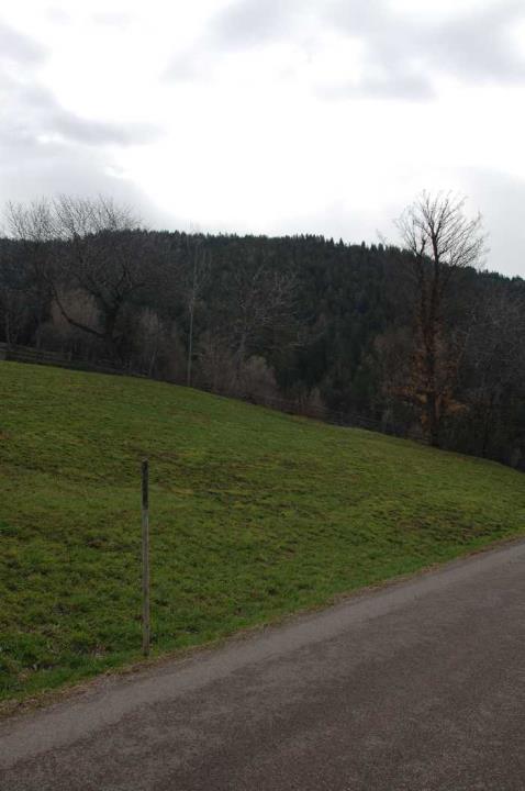 Panorama (Positivo) di de Vries, Gideon (2006/04/18 - 2006/04/18) <br>Diritti: Amt für Film und Medien, Autonome Provinz Bozen-Südtirol